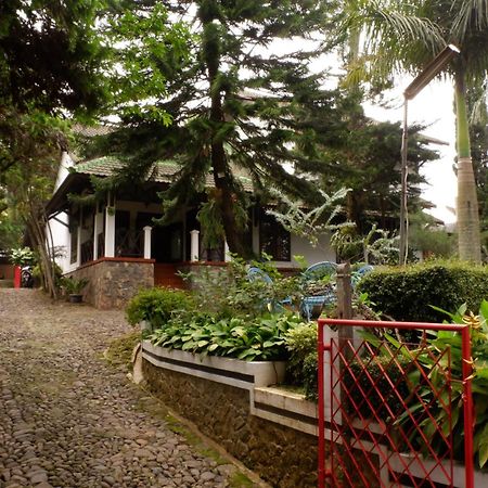 Cemara'S Homestay Batu  Eksteriør billede
